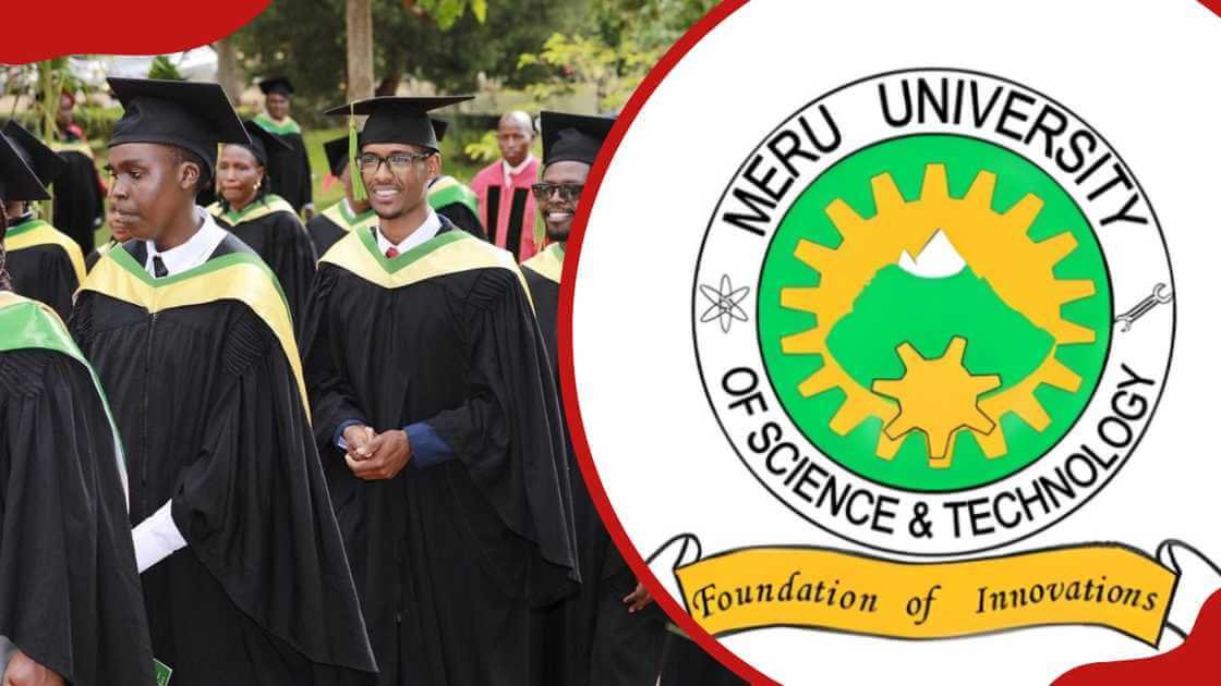 Meru University Student Portal: Complete Guide