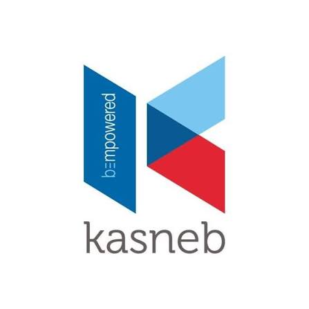 Kenya Accountants and Secretaries National Examinations Board (KASNEB) Student Portal: Complete Guide